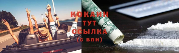 твердый Аркадак