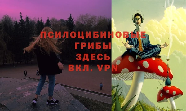 твердый Аркадак
