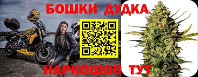 хмурый Новодвинск