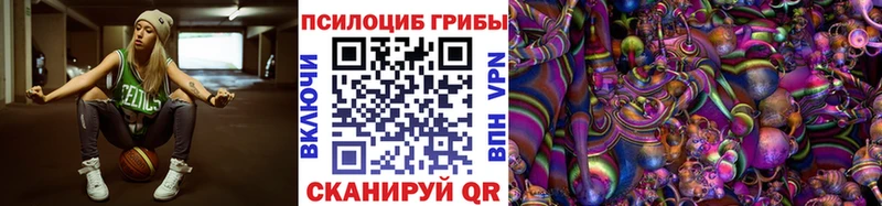 Псилоцибиновые грибы Cubensis  Сургут 