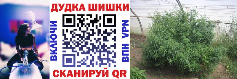 Каннабис сатива наркота гидра зеркало Сургут